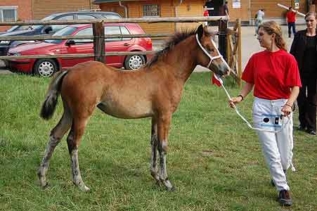 Foto: Frederike Rosenthal